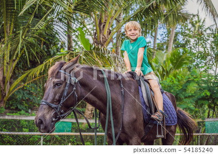 Boy horseback riding, performing exercises on horseback Boy horseback riding, performing exercises on horseback 54185240