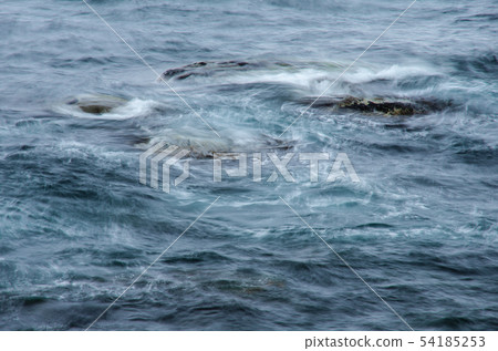 大海搖曳 大海搖曳 54185253
