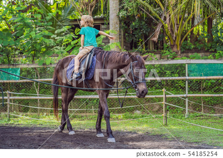 Boy horseback riding, performing exercises on horseback Boy horseback riding, performing exercises on horseback 54185254
