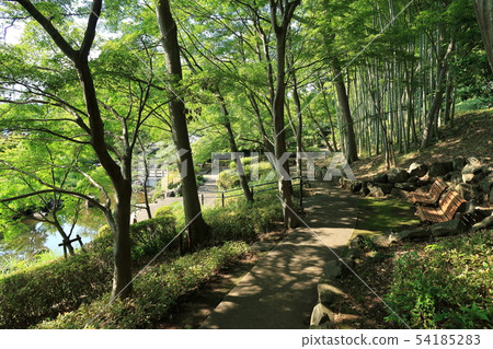 The garden of the former Mitsui Fudosan The garden of the former Mitsui Fudosan 54185283