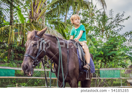 Boy horseback riding, performing exercises on horseback Boy horseback riding, performing exercises on horseback 54185285