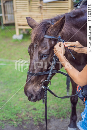 Boy horseback riding, performing exercises on horseback Boy horseback riding, performing exercises on horseback 54185328