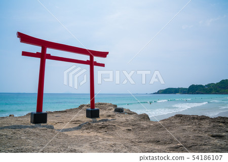 伊豆白濱海岸白浜的鳥居 54186107