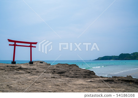 伊豆白濱海岸白浜的鳥居 54186108
