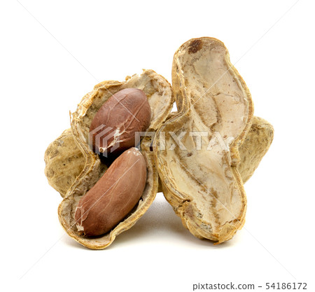 closeup dried peanuts isolated on white background closeup dried peanuts isolated on white background 54186172