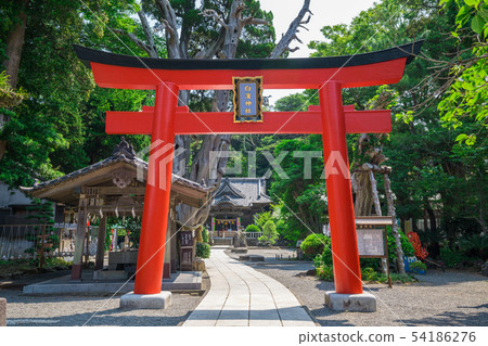 伊豆白濱神社 54186276