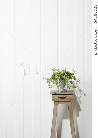 Flower stand-stool-white wood-white wall Flower stand-stool-white wood-white wall 54186526