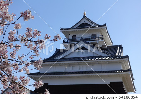 Kamiyama castle and cherry blossoms 54186854