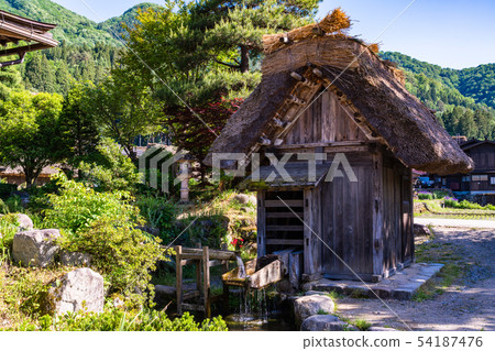 (Gifu Prefecture) Shirakawa-go shioshioshi in early summer (Gifu Prefecture) Shirakawa-go shioshioshi in early summer 54187476