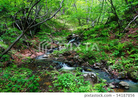 在山上的山路到Maekake山 54187856