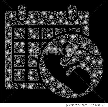 Bright Mesh Network Embryo Calendar with Flare Spots 54188126