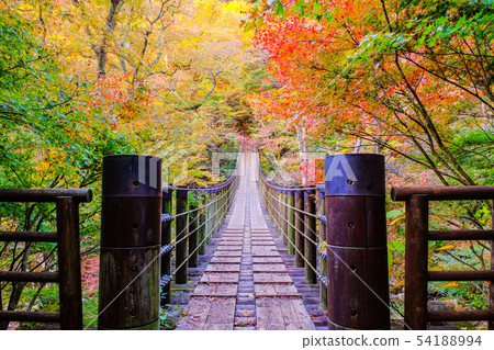 Hananuki Valley (Autumn) 54188994