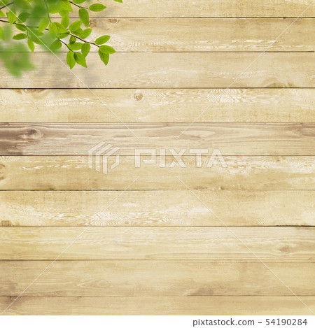 Background-Wood-Branches-Leaves Background-Wood-Branches-Leaves 54190284