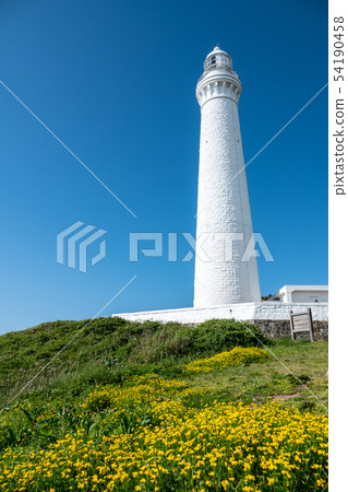 日光燈塔 54190458