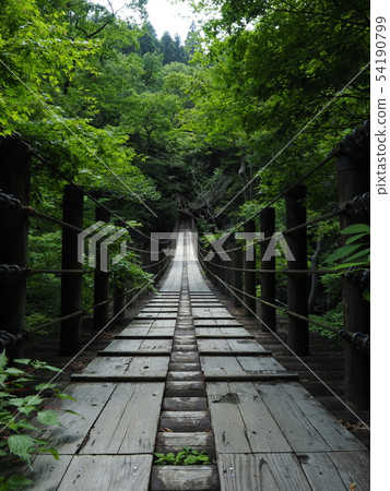 汐留瀑布吊橋 汐留瀑布吊橋 54190799