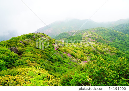 Kuju mountain range From Tsukake mountain to Kuzumi mountain 54191900