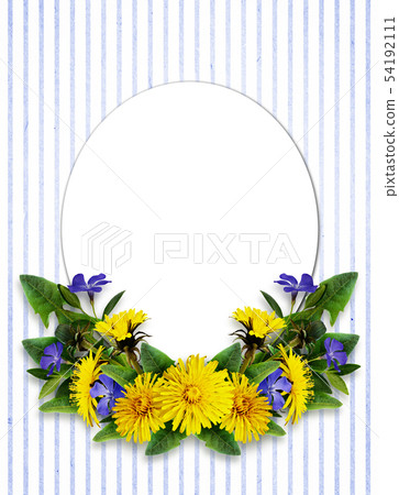 Dandelion and periwinkle flowers arrangement Dandelion and periwinkle flowers arrangement 54192111