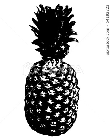 Grunge detailed pineapple Grunge detailed pineapple 54192222