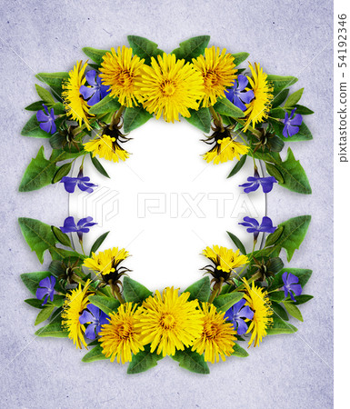 Dandelion and periwinkle flowers frame Dandelion and periwinkle flowers frame 54192346