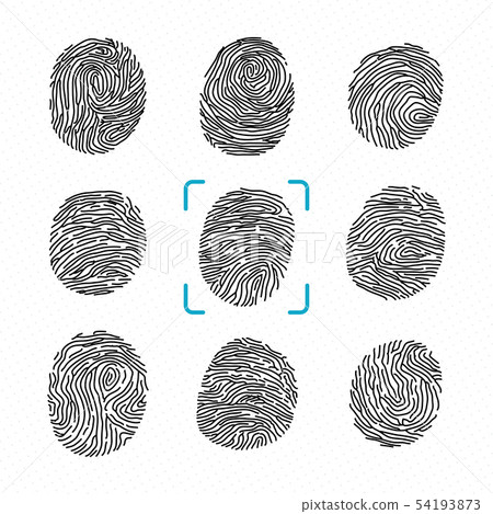 Set of different fingerprints. Police scanner for criminal identity. Vector monochrome illustrations Set of different fingerprints. Police scanner for criminal identity. Vector monochrome illustrations 54193873