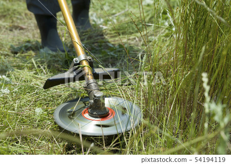 除草圖像,除草圖像 除草圖像,除草圖像 54194119