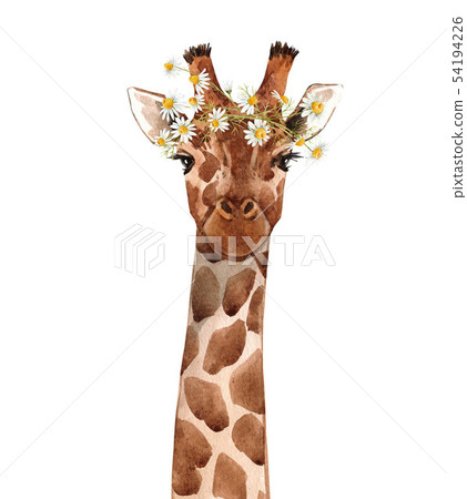 Watercolor giraffe portrait Watercolor giraffe portrait 54194226