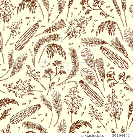 Seamless pattern of organic foods. Cereals, rice, grains 54194442