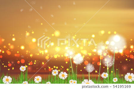 Blowball dandelion in the meadow in morning Blowball dandelion in the meadow in morning 54195169
