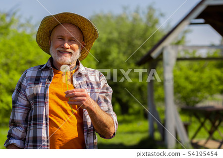 Retired man spending time outside holding dandelion 54195454