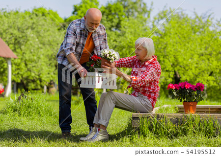 Retired husband and wife putting flowers pots into white box Retired husband and wife putting flowers pots into white box 54195512