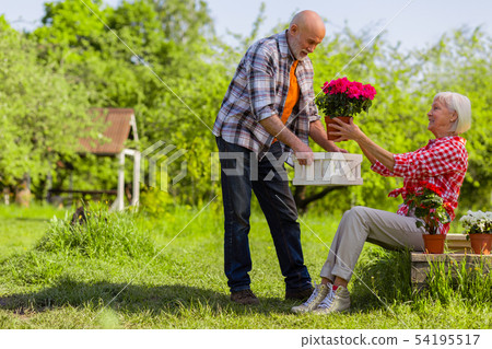 Retired husband and wife decorating their territory with flower pots Retired husband and wife decorating their territory with flower pots 54195517