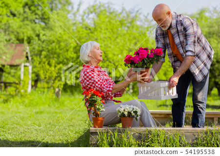 Bearded husband helping his beautiful wife taking care of flowers Bearded husband helping his beautiful wife taking care of flowers 54195538