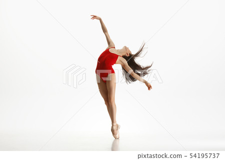 Young graceful ballet dancer dancing on white studio background 54195737