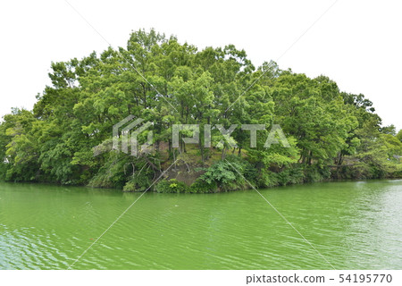 [Osaka Prefecture Fujiidera City] World Heritage-Old City Ancient Tombs (Hazami Sanko Tomb) 54195770