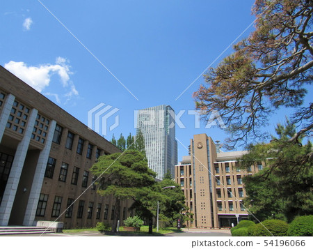 仙台市青葉區東北大學Katahira校區 仙台市青葉區東北大學Katahira校區 54196066