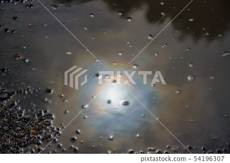 Oil Contaminated Water Pool 54196307