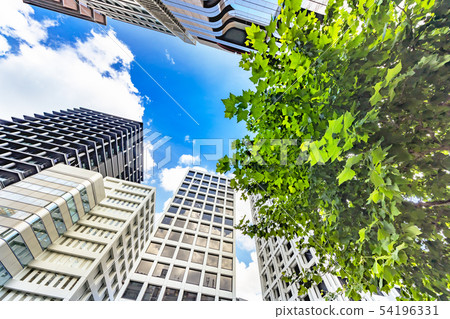 Fresh green and urban buildings 54196331