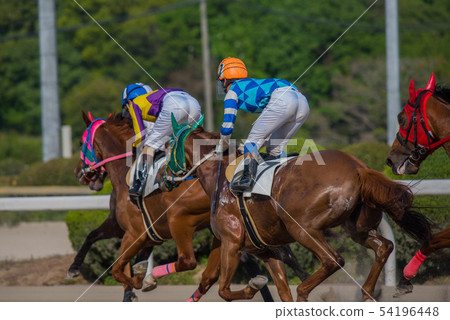 佐賀賽馬 佐賀賽馬 54196448