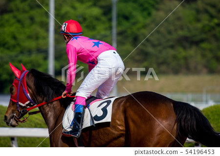 佐賀賽馬 54196453