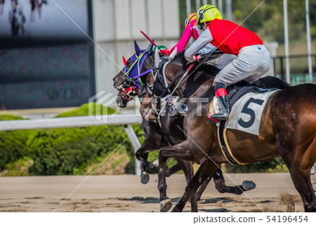 Saga horse racing 54196454