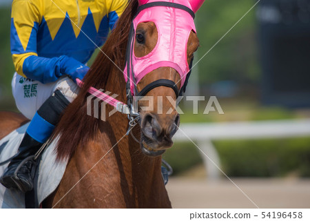 佐賀賽馬 佐賀賽馬 54196458