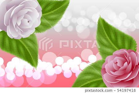 vector, camellia, flower 54197418