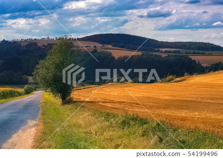 Beautiful landscape in Southern Poland near Klodzko 54199496