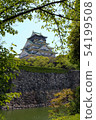Fresh green Osaka Castle 54199508