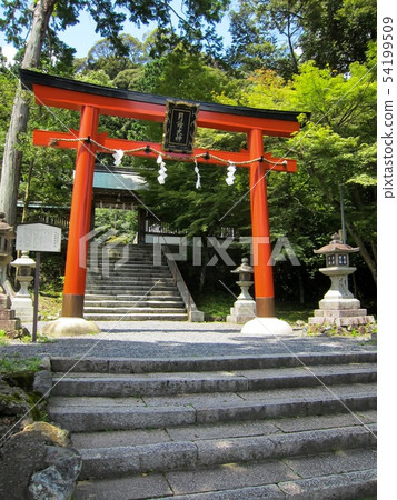 Kyoto Tsukuyomi Shrine Kyoto Tsukuyomi Shrine 54199509