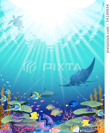 Creatures living on coral reefs 54199934