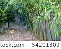 竹葉 54201309