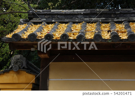 在Kotohiragu寺廟的秋天視圖 54201471