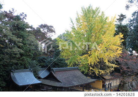 Kotohiragu Shrine's fire company and Shido company Kotohiragu Shrine's fire company and Shido company 54201628