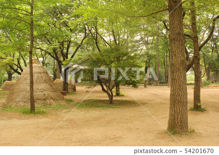 南怡島公園 南怡島公園 54201670